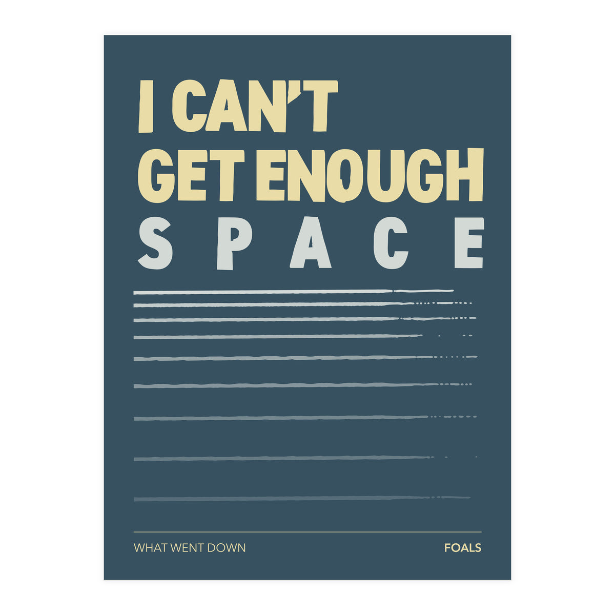 Foals - What Went Down (Print Only)