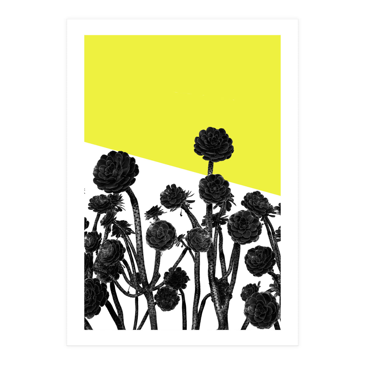 Flowers yellow (Print Only)