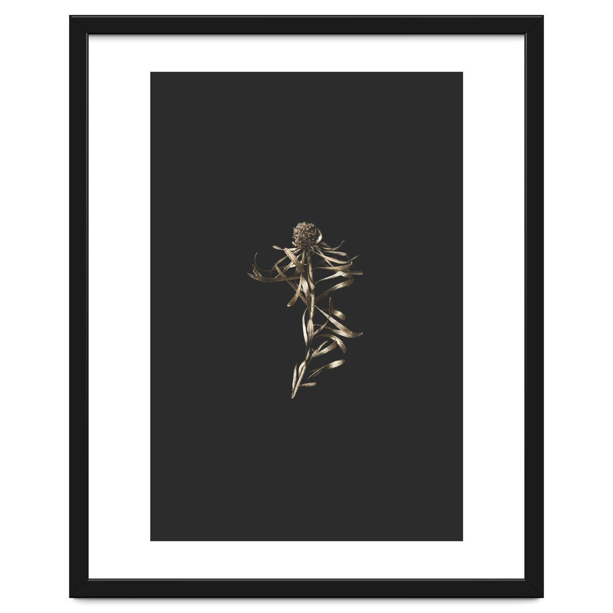 Magical Golden Fynbos