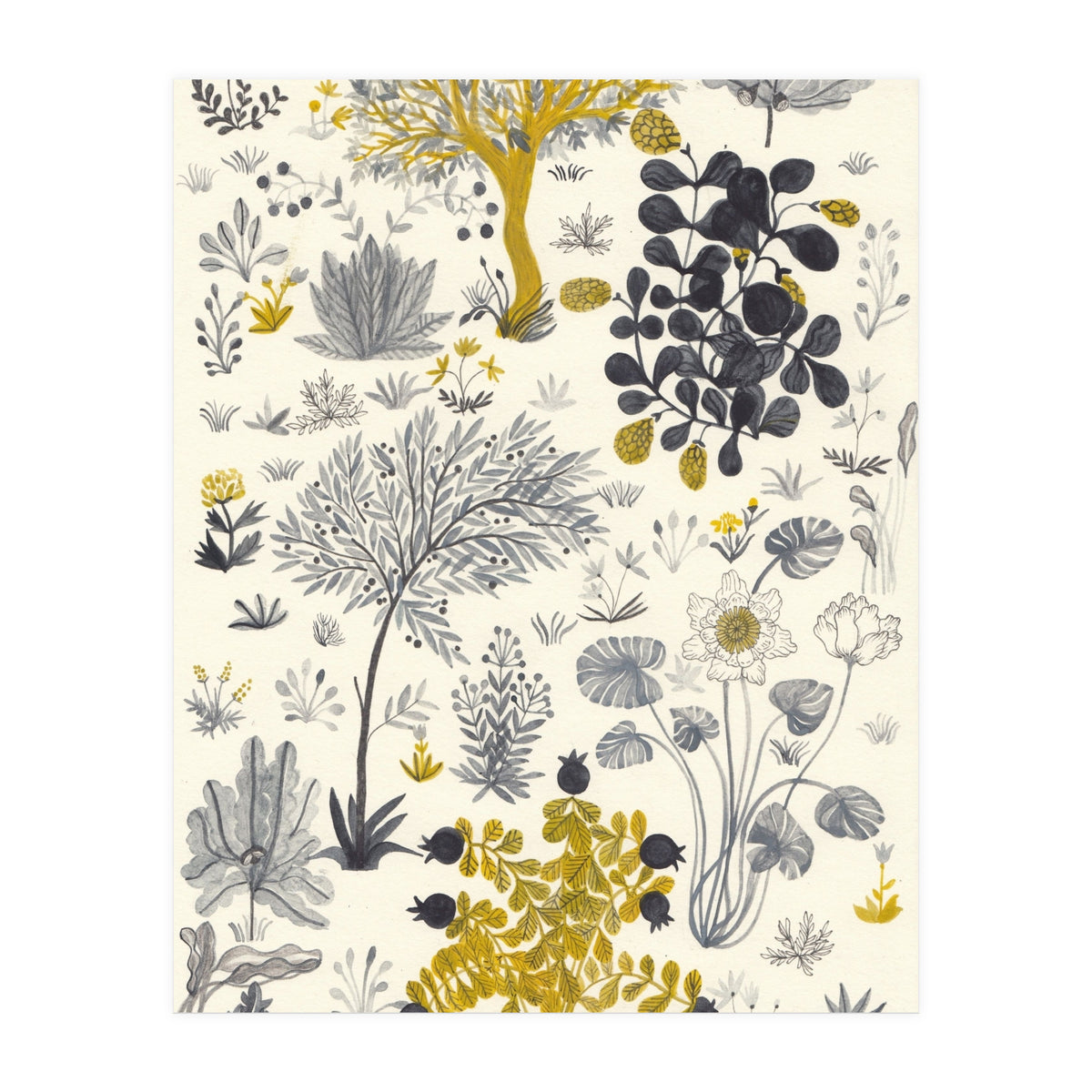 Genesis (Print Only)