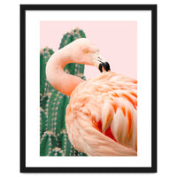 Flamingo & Cactus