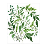 Botanical Abundance, Fresh Green Nature Watercolor Painting, Vibrant Leaves Minimal Illustration (Print Only) thumbnail