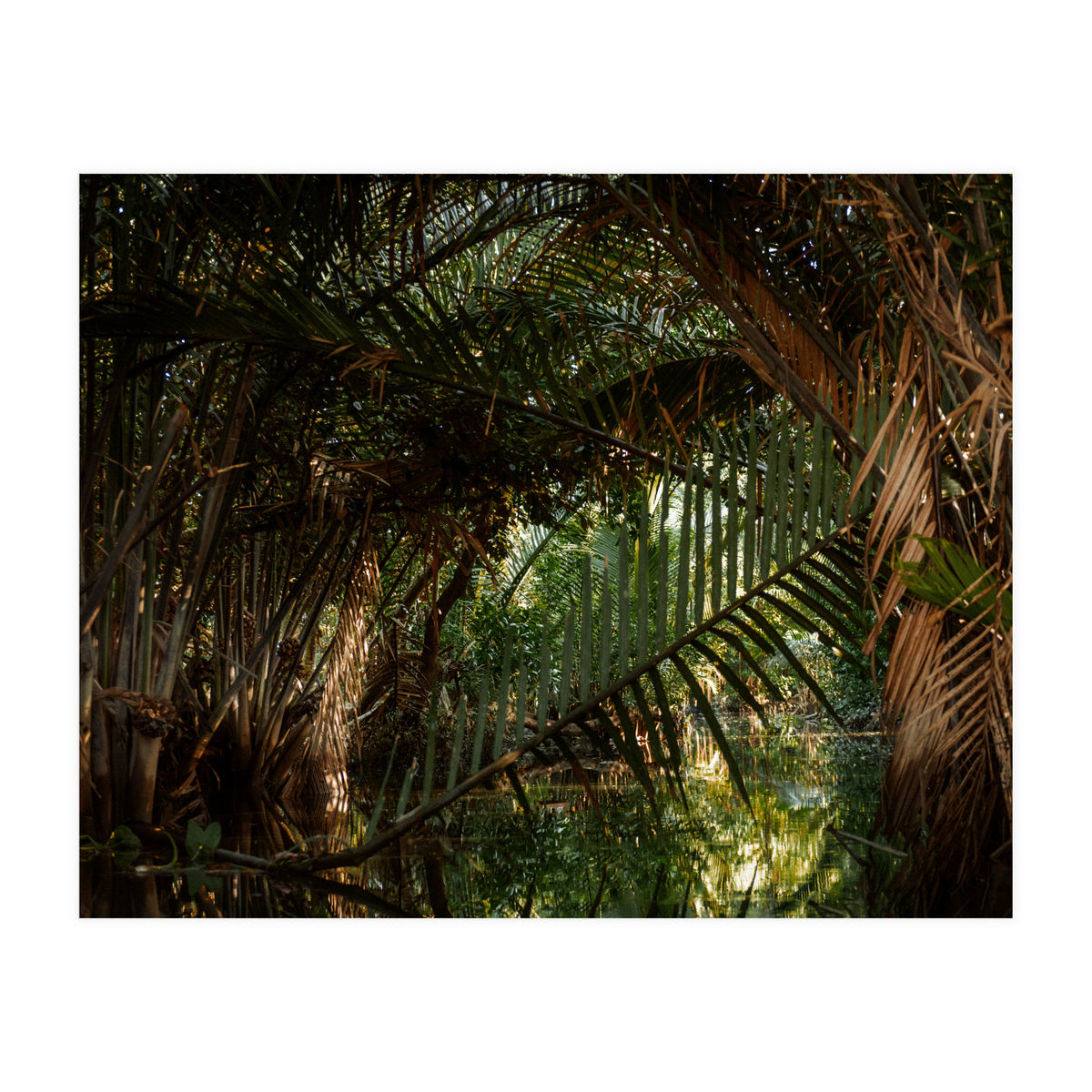 Exploring Vietnam (Print Only)