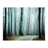 Gather Up Your Dreams (Print Only) thumbnail
