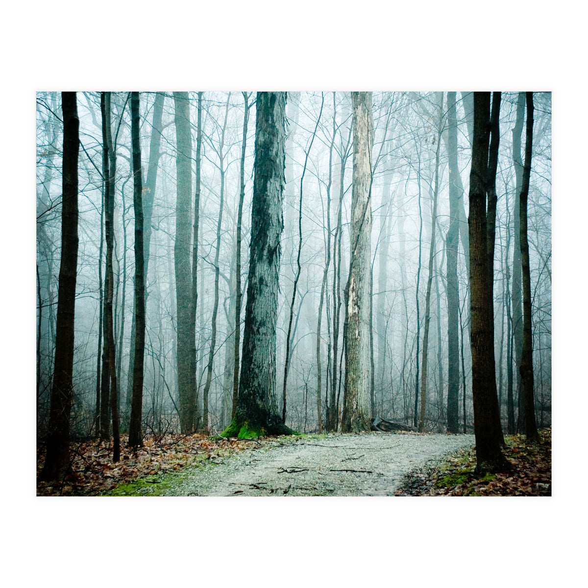 Gather Up Your Dreams (Print Only)