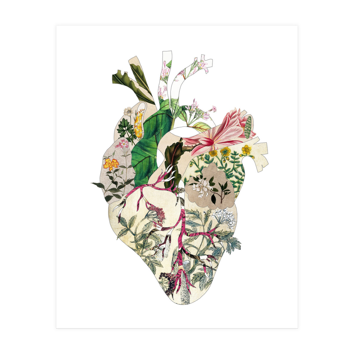 Vintage Botanical Heart (Print Only)