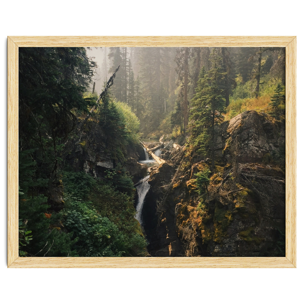 Glacier National Park I