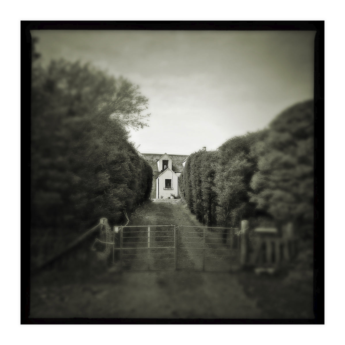 Waterstein 3 (Print Only)