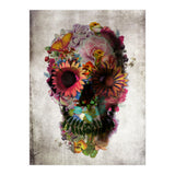 Skull (Print Only) thumbnail