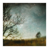 The Tree That Whispered (Print Only) thumbnail