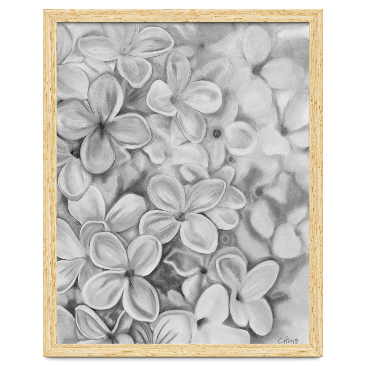 The Essence Of Spring in Monochrome