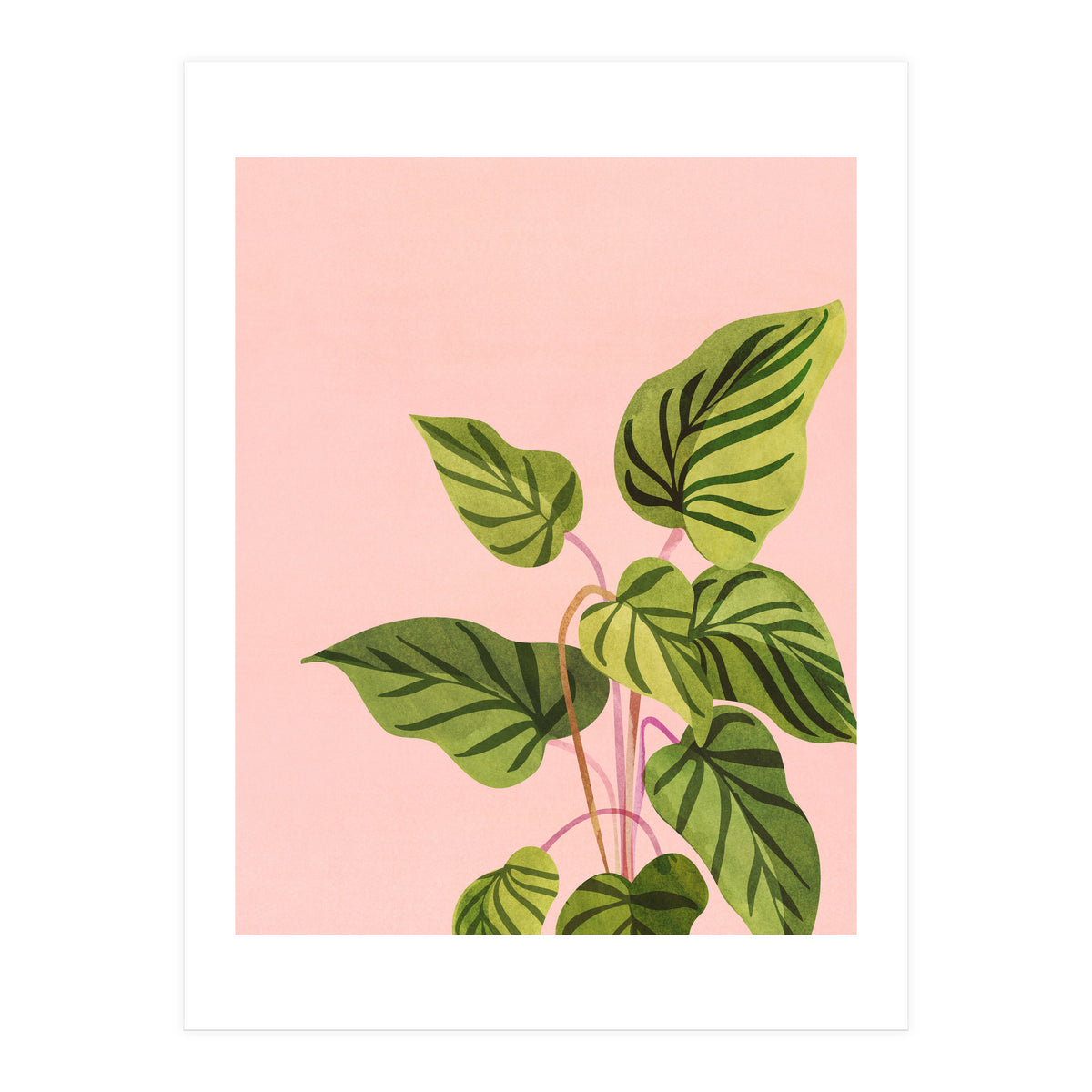 Tropical Rising (Print Only)