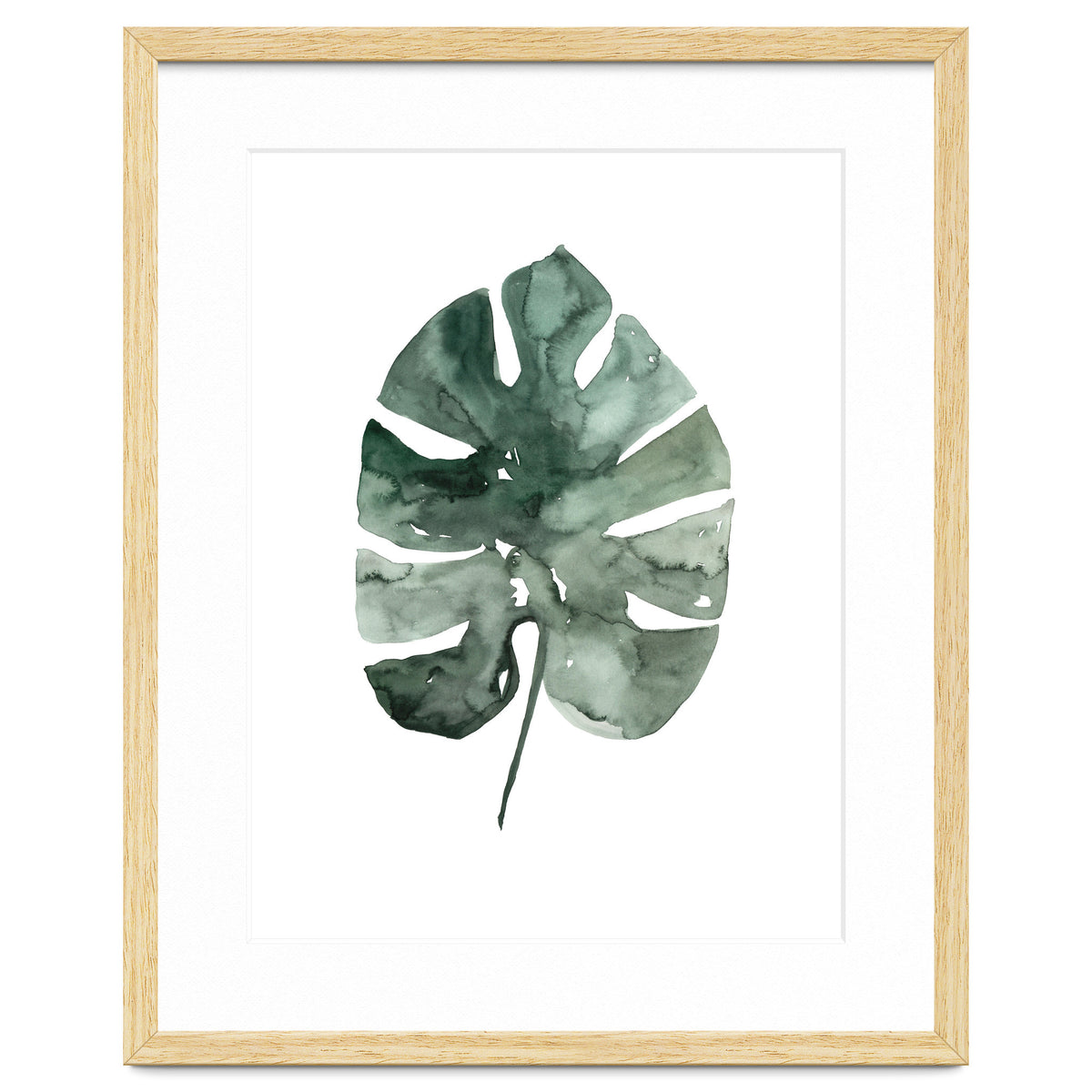 Botanical Illustration Monstera Leaf