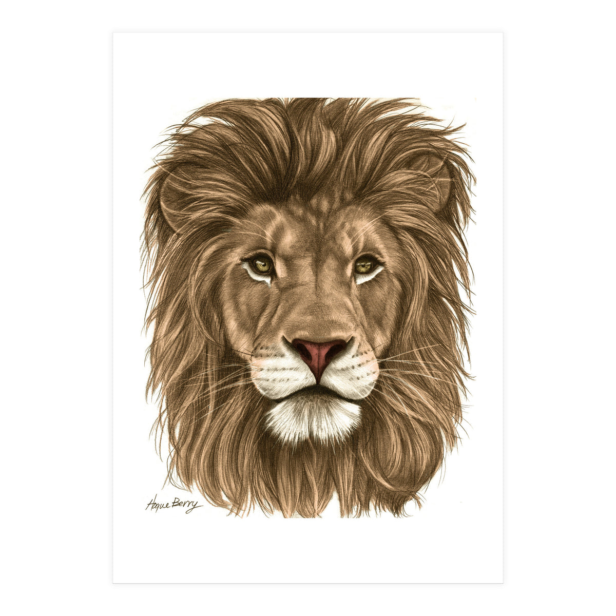 The Majestic Lion (Print Only)
