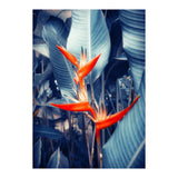 Parakeet Tropical Flower (Print Only) thumbnail