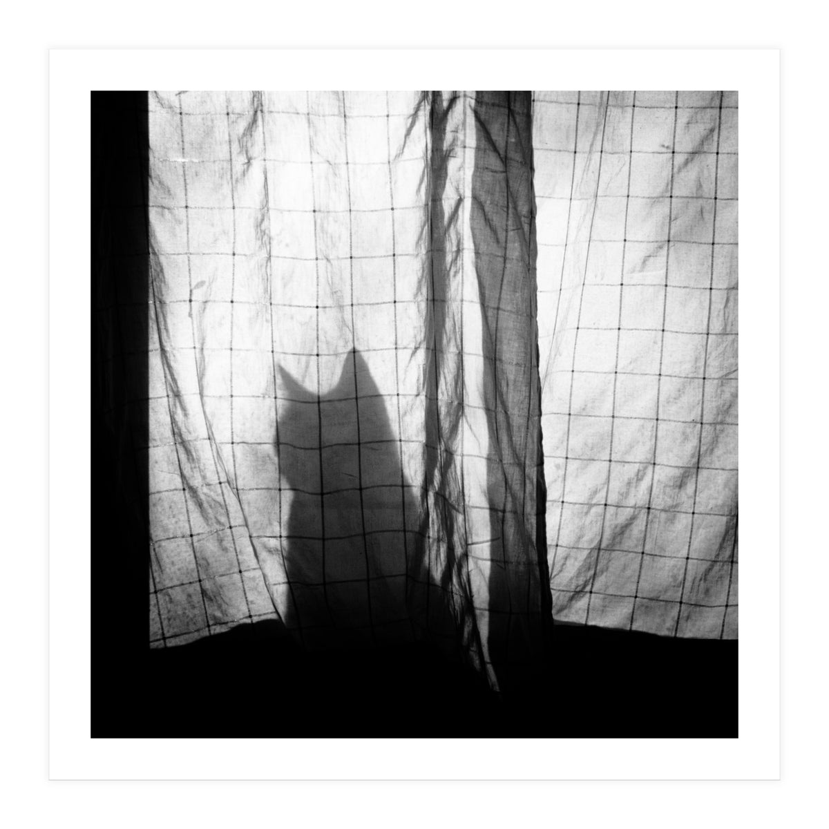 Mr. Wallace (Print Only)