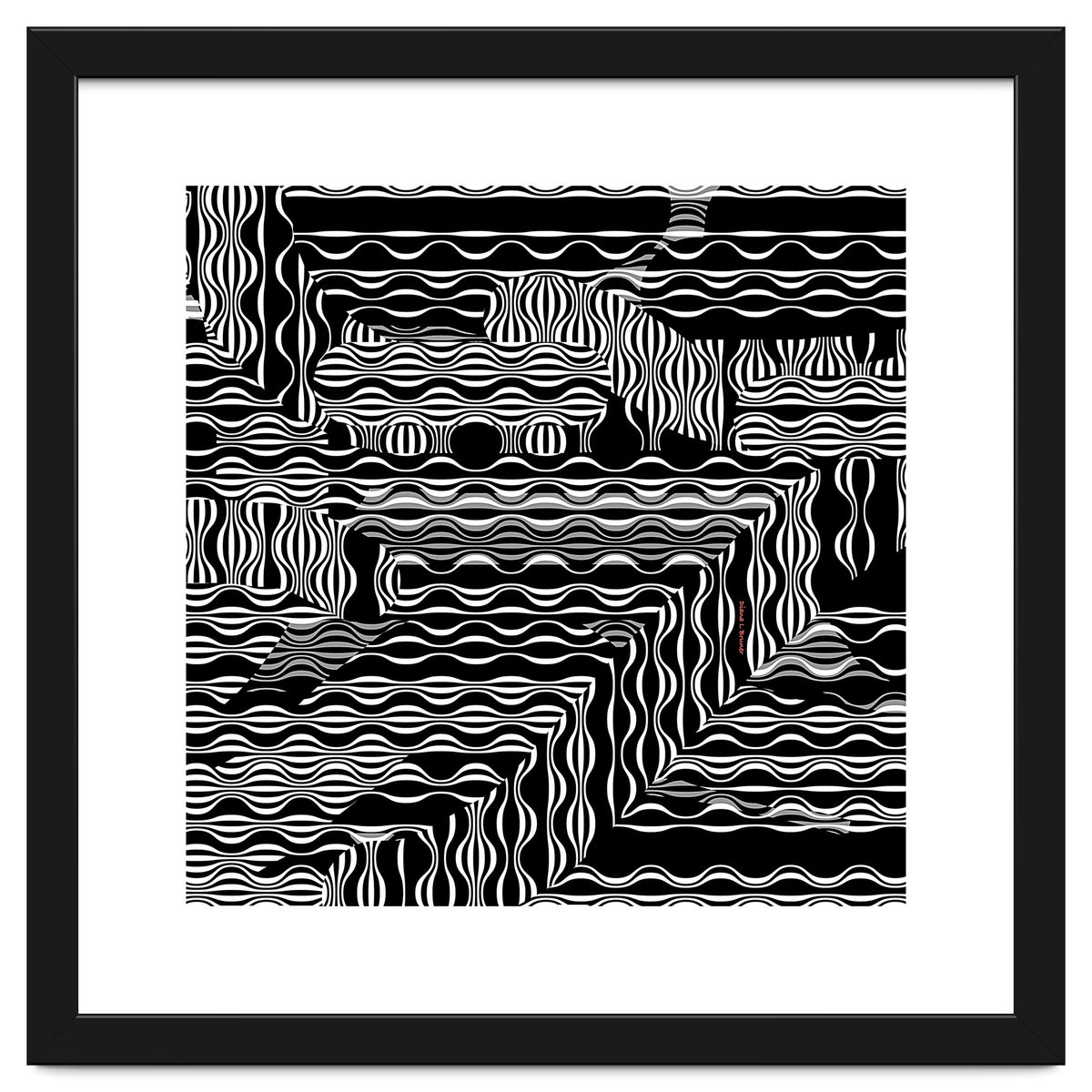 BLACK AND WHITE EXOTIC