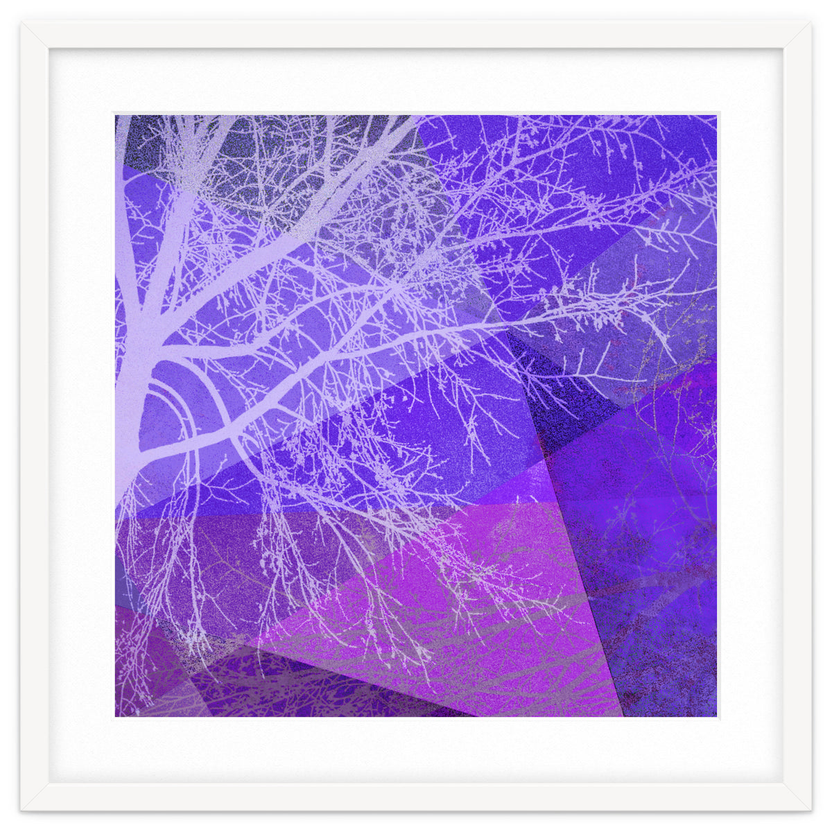 P19-D2 Trees and Triangles