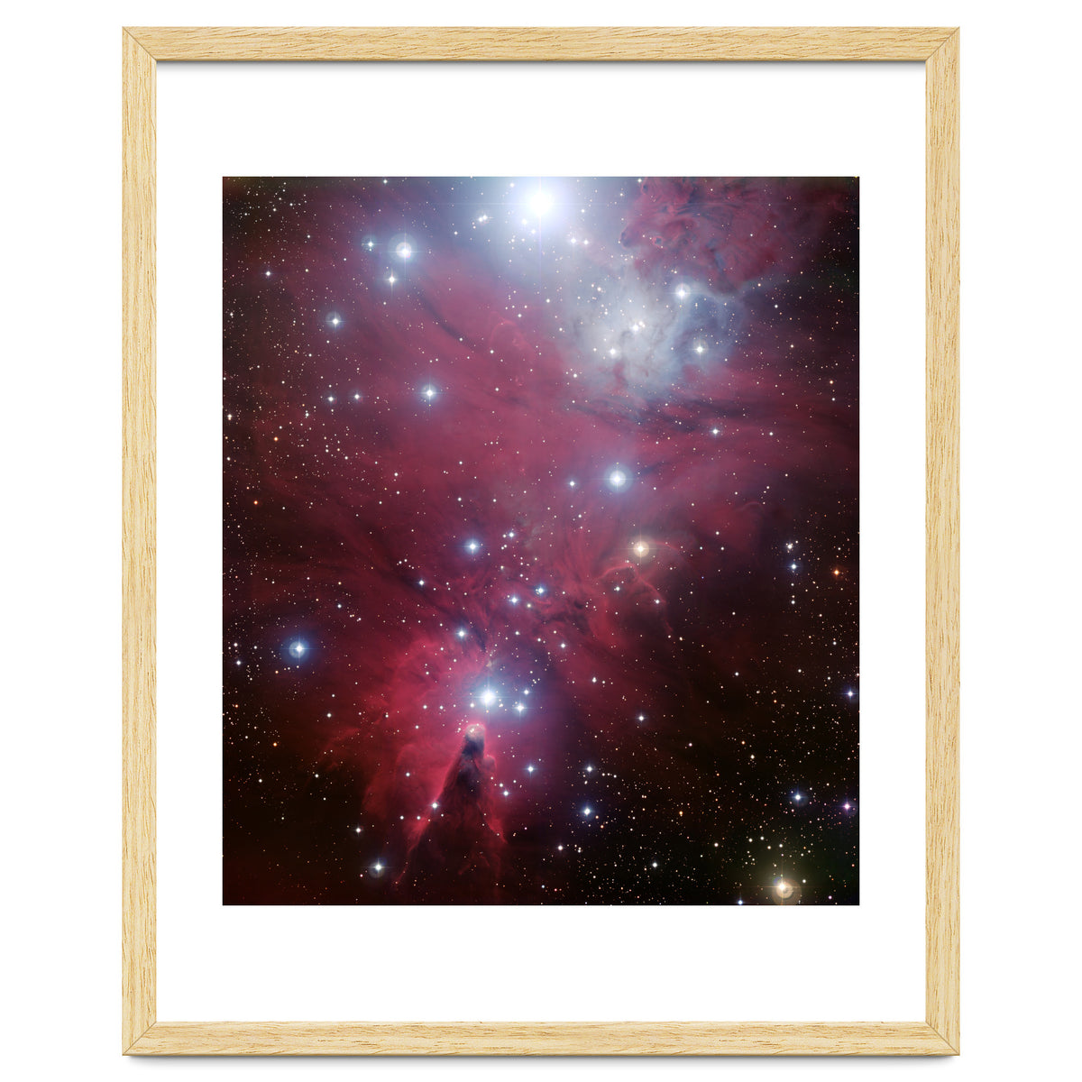 The Christmas Tree Cluster