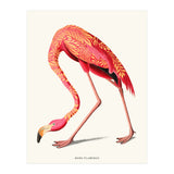 Boho Flamingo (Print Only) thumbnail