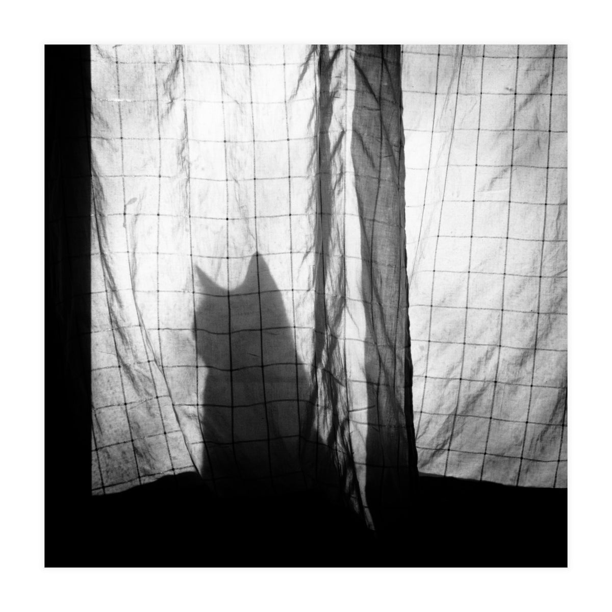 Mr. Wallace (Print Only)