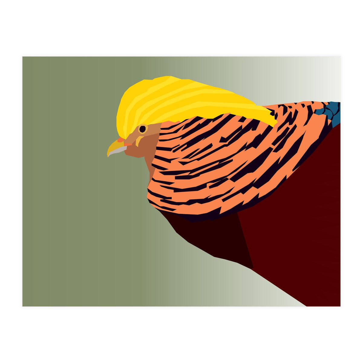 Golden Pheasant Bird Art (Print Only)