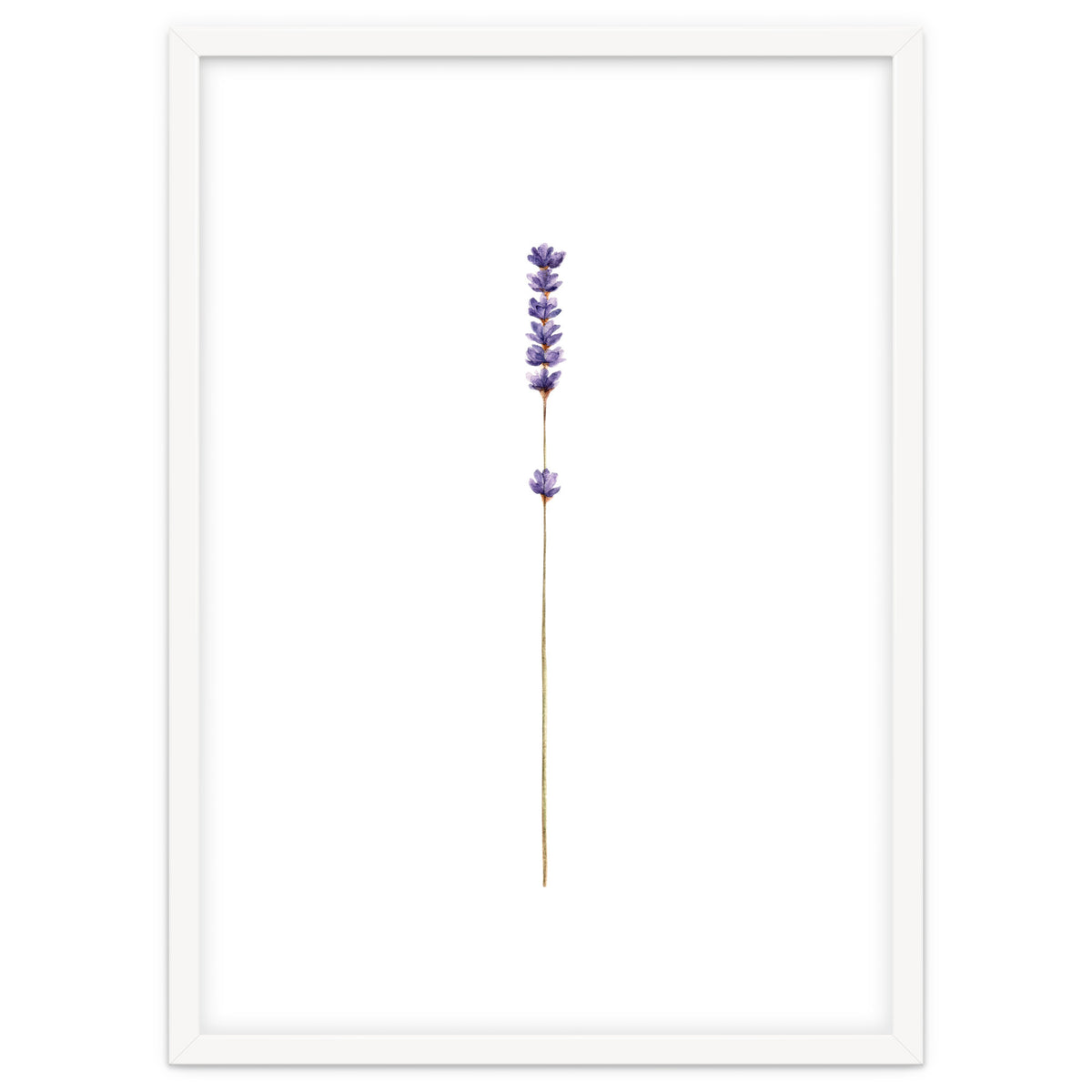 Lavender twig
