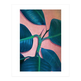 Ficus Elastica (Print Only) thumbnail