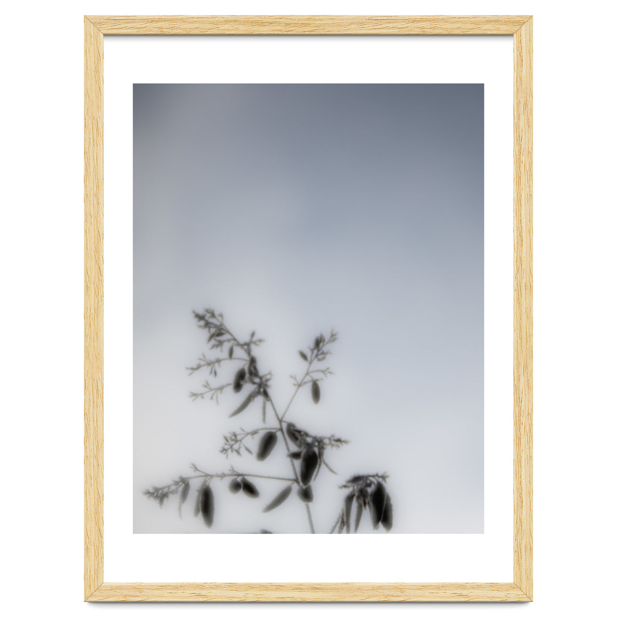 Forgotten Memories of Summer #17