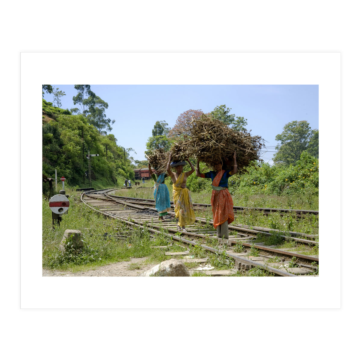 Nuwara Eliya, Sri Lanka (Print Only)