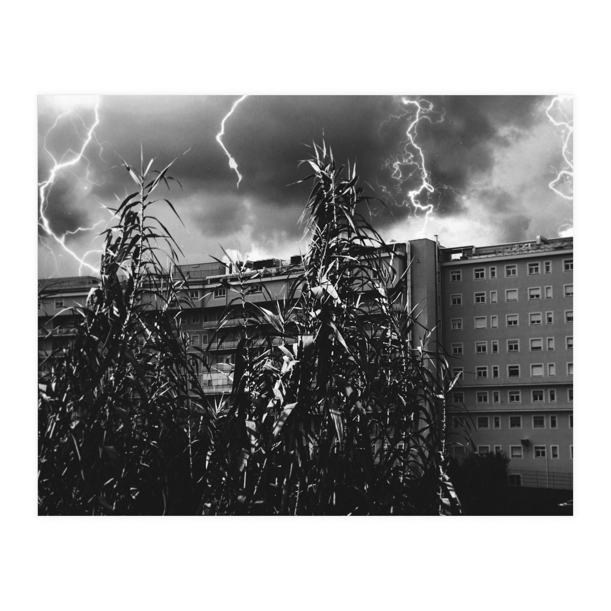 Thunderstorm in Tivoli (Print Only)