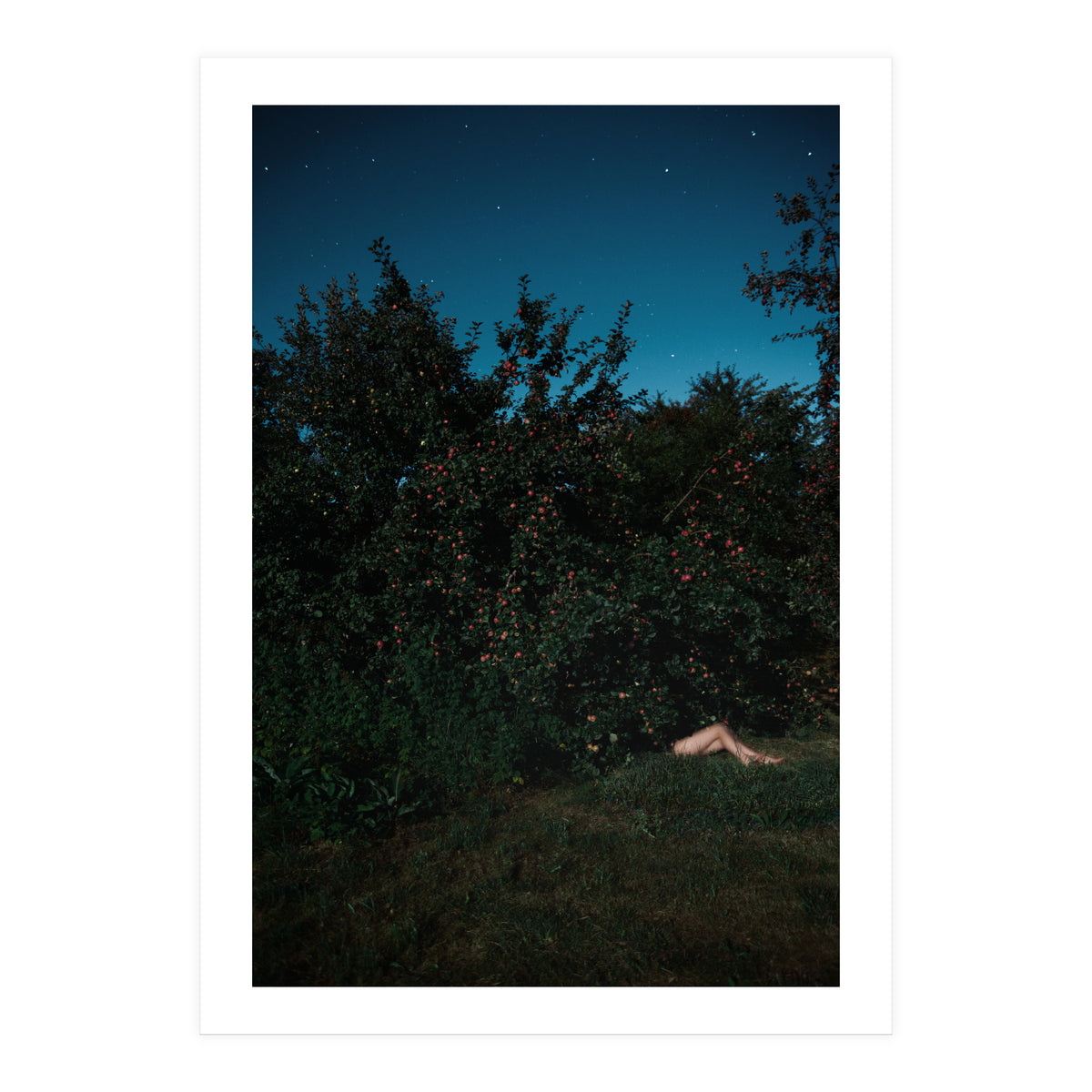 The Cider House Legs (Print Only)