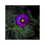 Floral autumn (Print Only) thumbnail