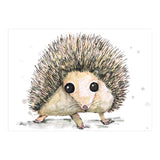 Hedgehog (Print Only) thumbnail