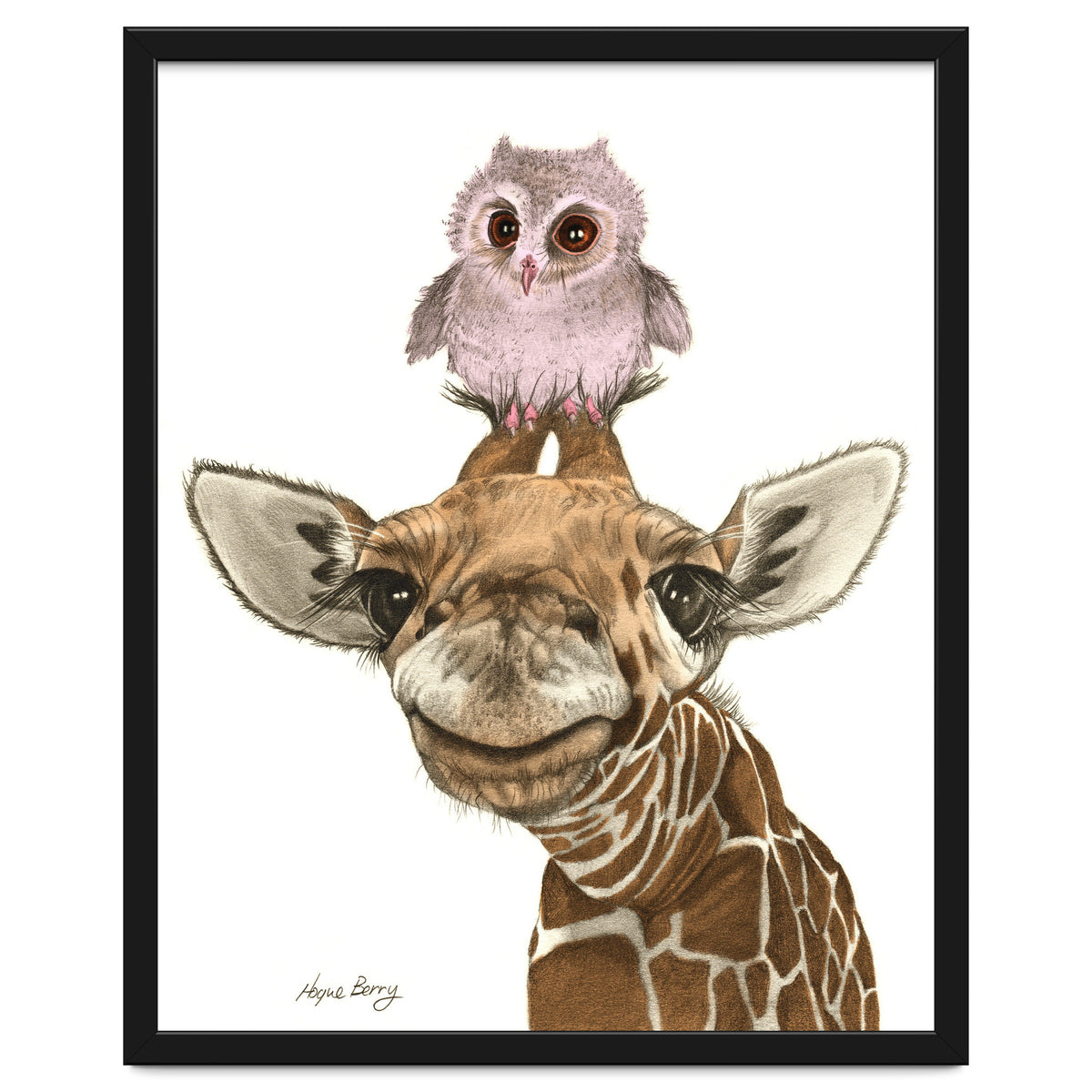 Giraffe and Owl