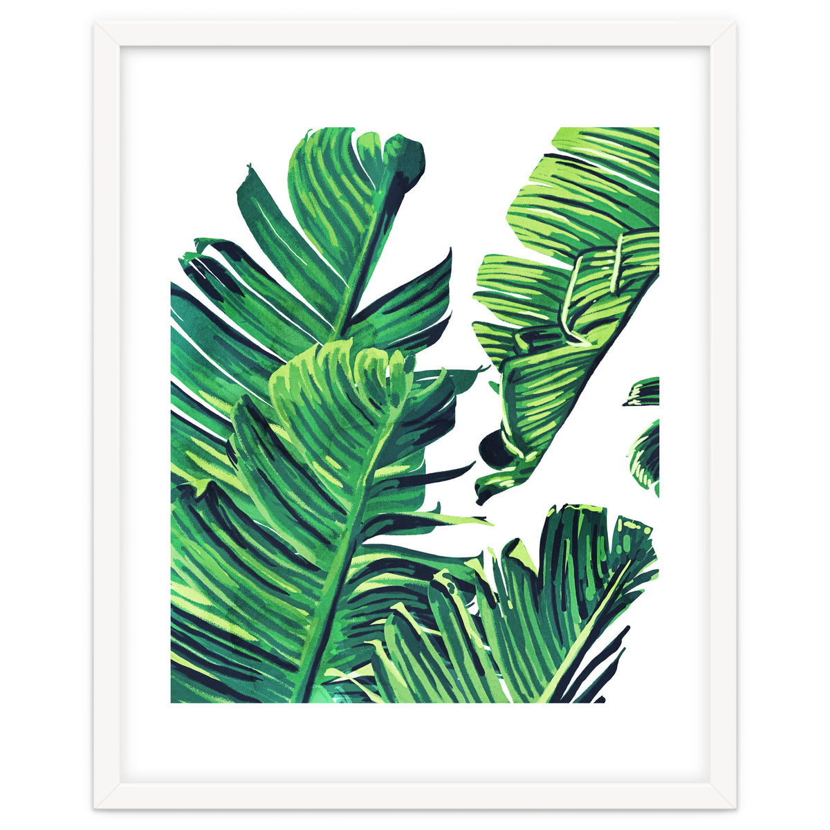 Banana Tree Leaves