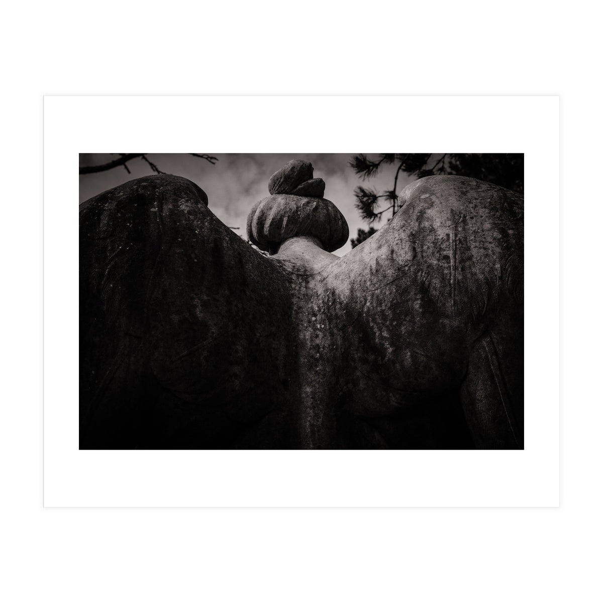 Angel Wings (Print Only)