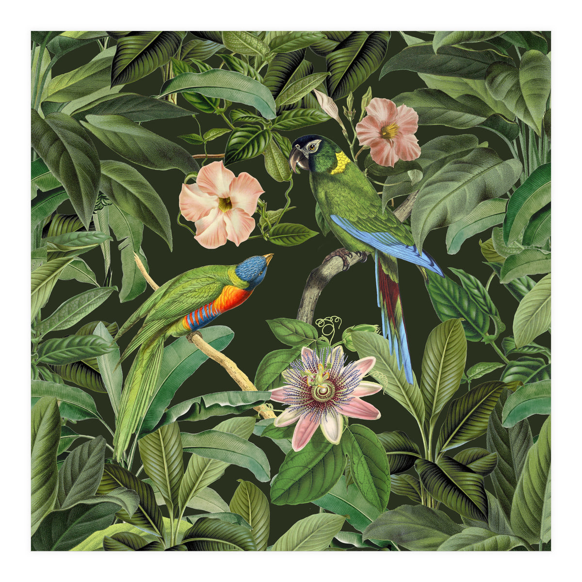 Exotic Jungle Birds (Print Only)