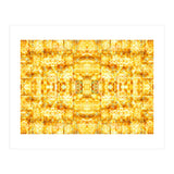 Digital Evolution 1 (Print Only) thumbnail