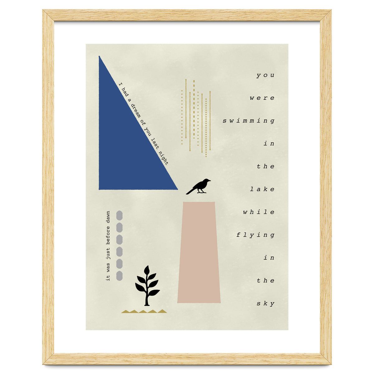 swimming while flying dream