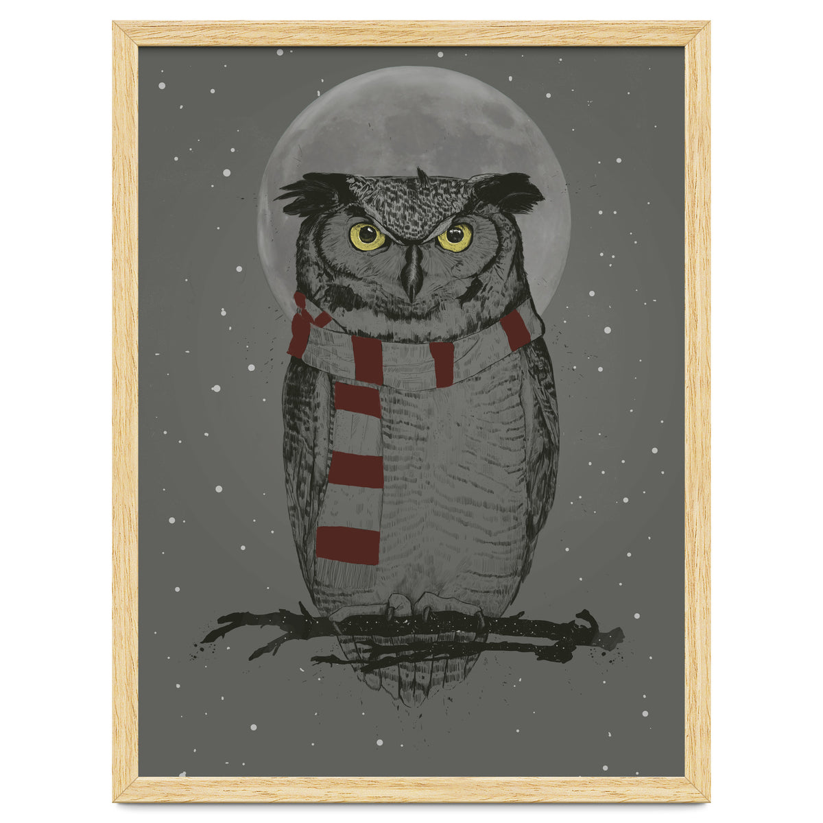 Winter Owl
