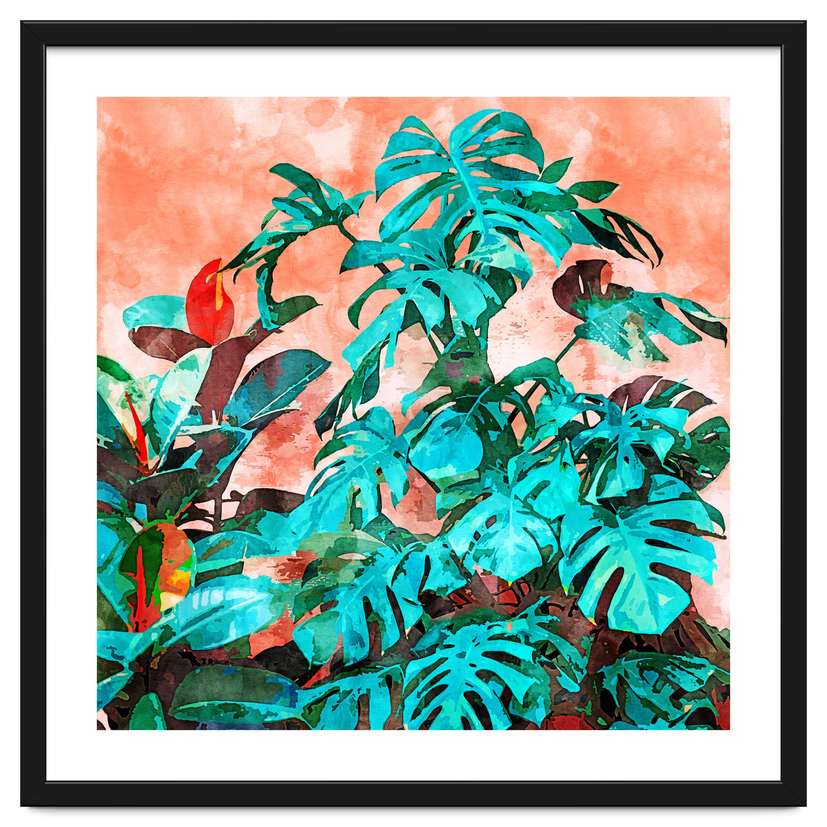 Monstera In My Backyard