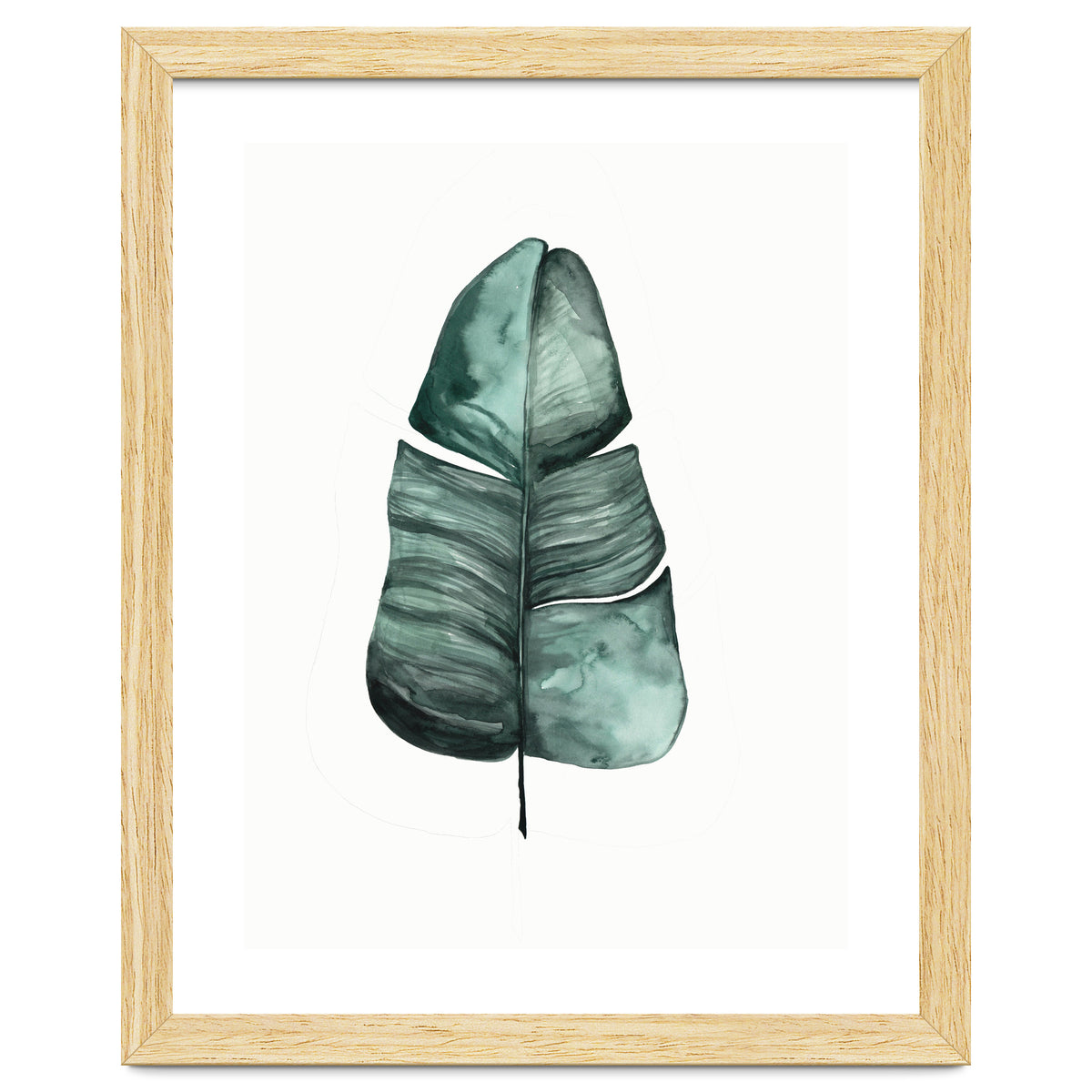 Botanical Illustration Banana Leaf