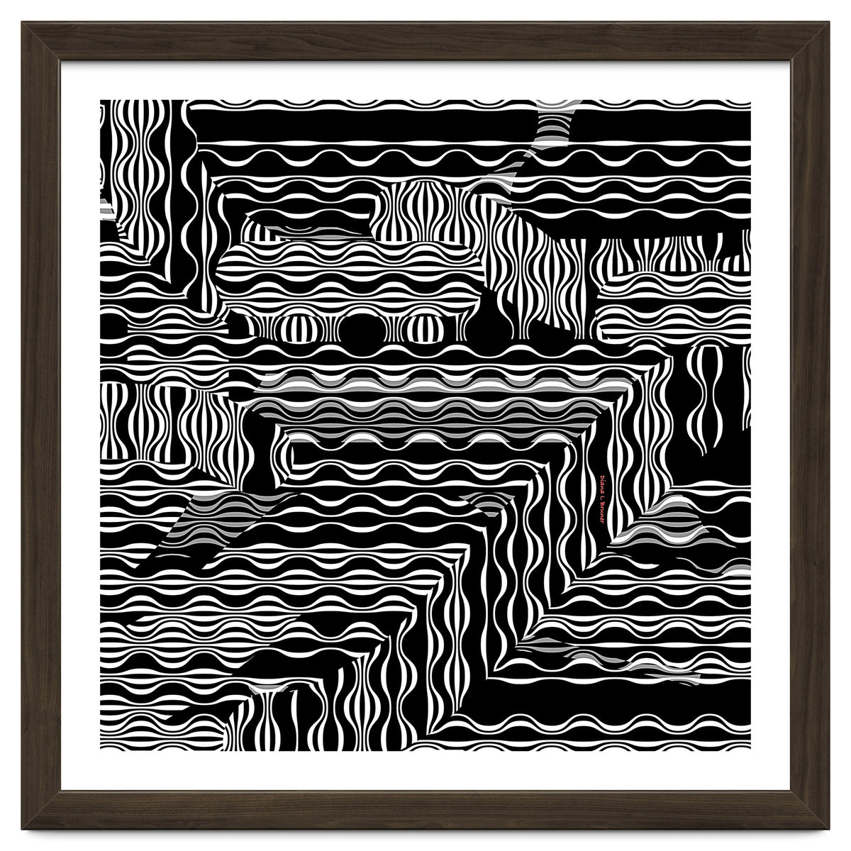 BLACK AND WHITE EXOTIC