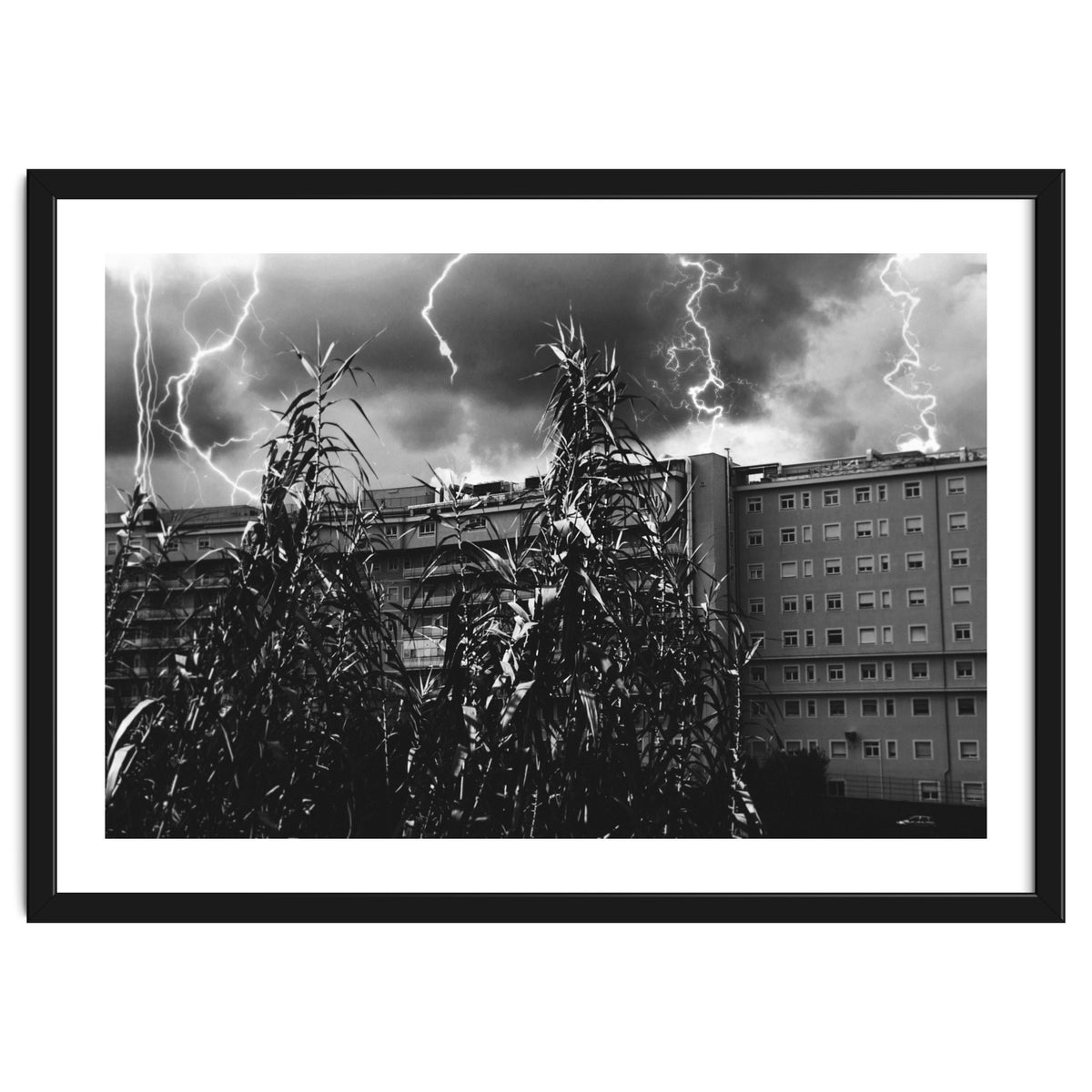 Thunderstorm in Tivoli