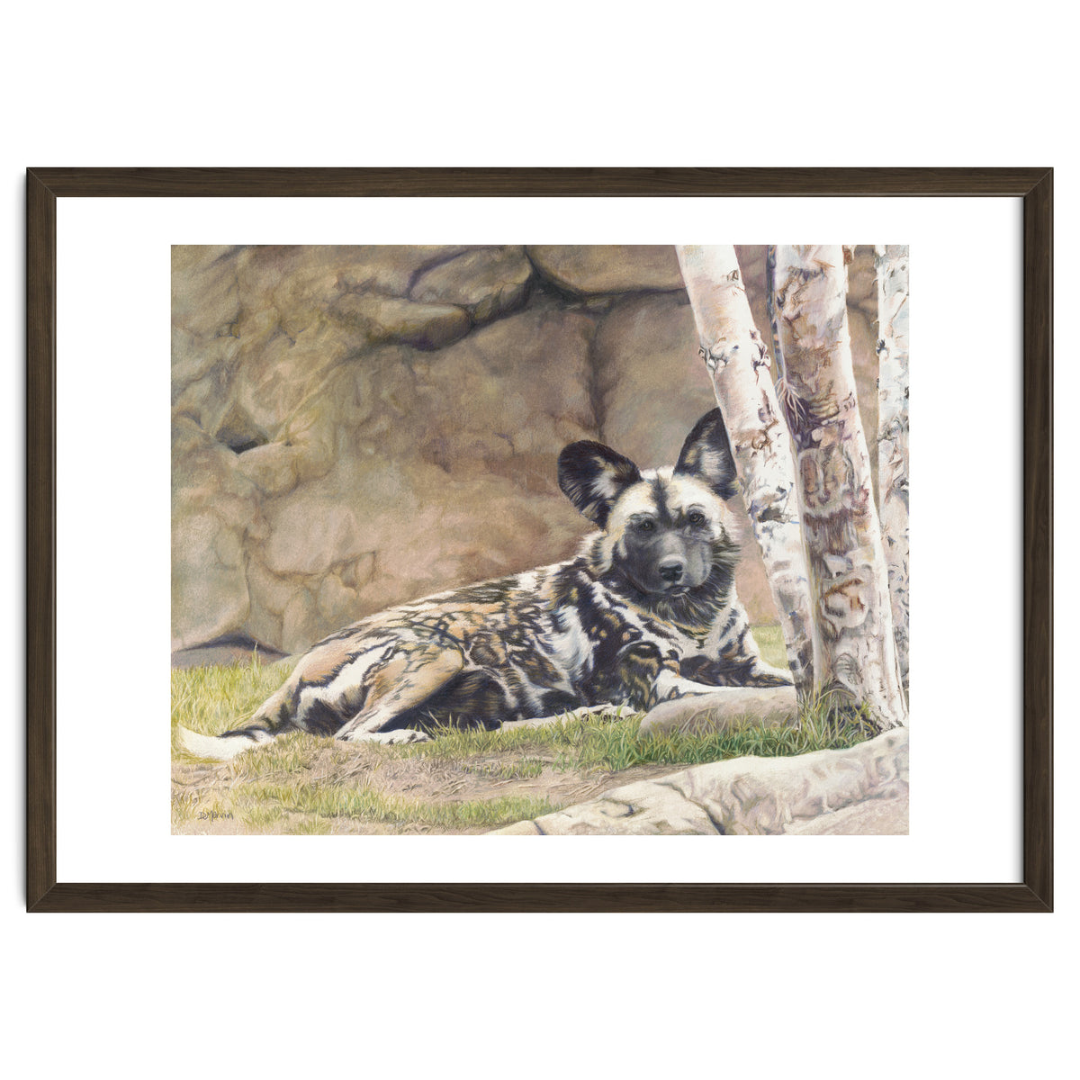 Afican Painted Dog IV - Imara