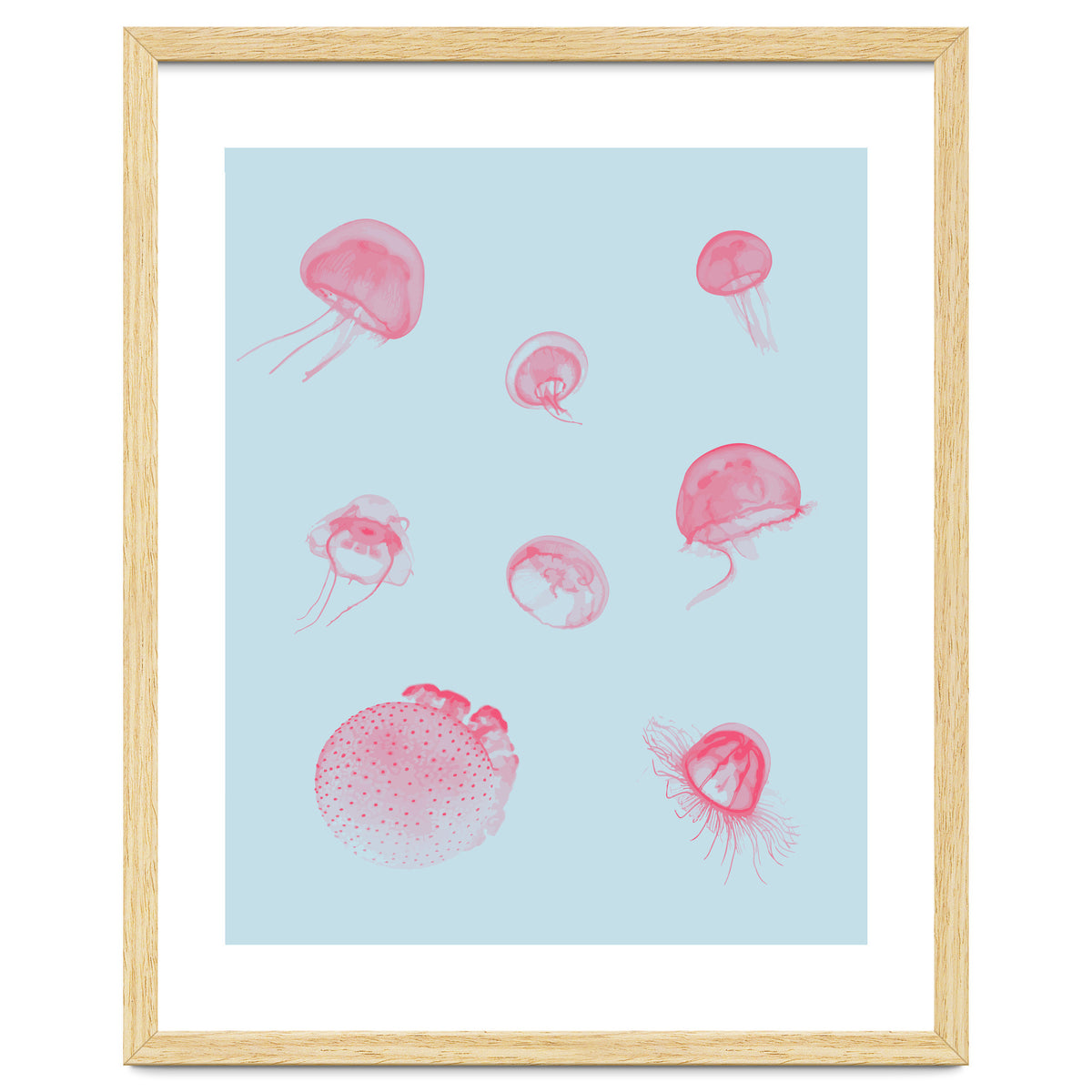 Jellyfish
