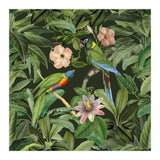 Exotic Jungle Birds (Print Only) thumbnail