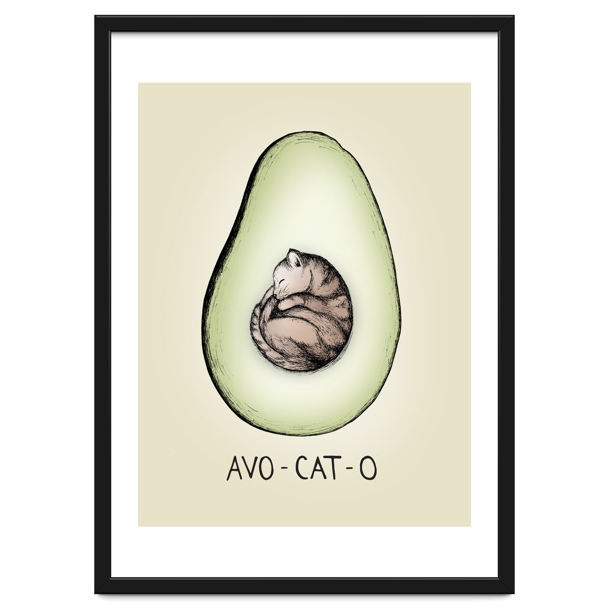 Avo-cat-o