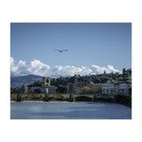 Volare A Firenze (Print Only) thumbnail